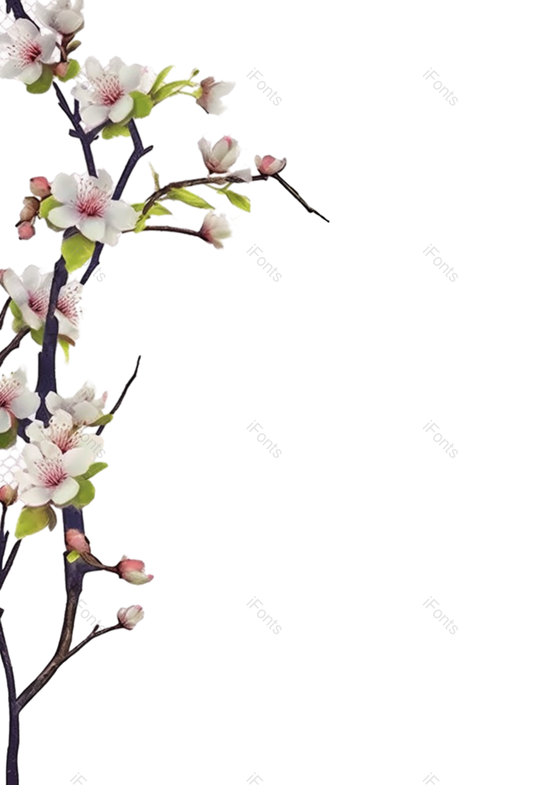 叶子图片,装饰元素,插画PNG,传统文化免抠素材